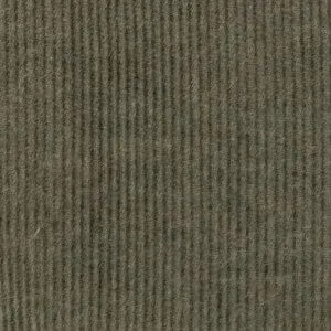 Optimized Corduroy Pearl Snap Shirt by Armadillo