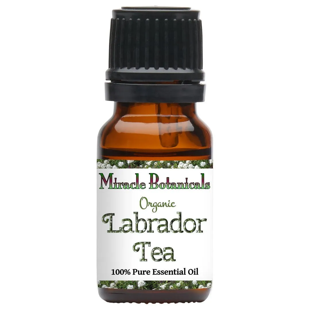 Labrador Tea (Ledum) Essential Oil - Organic (Ledum Groenlandicum)