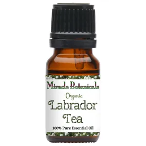 Labrador Tea (Ledum) Essential Oil - Organic (Ledum Groenlandicum)